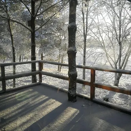 Luksusowy- Nowoczesny Dom W Lesie *