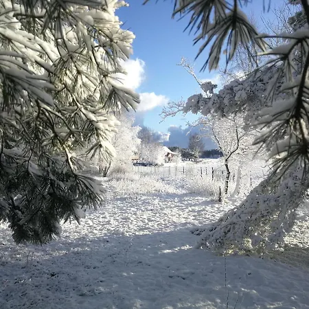 Luksusowy- Nowoczesny Dom W Lesie * Kowalewo (Wejherowo)