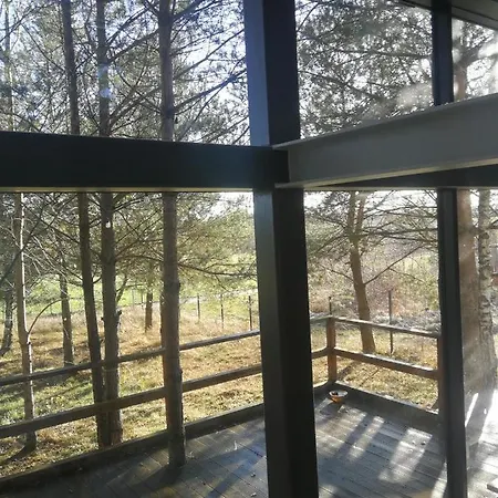 Prázdninový dům Luksusowy- Nowoczesny Dom W Lesie Kowalewo (Wejherowo)