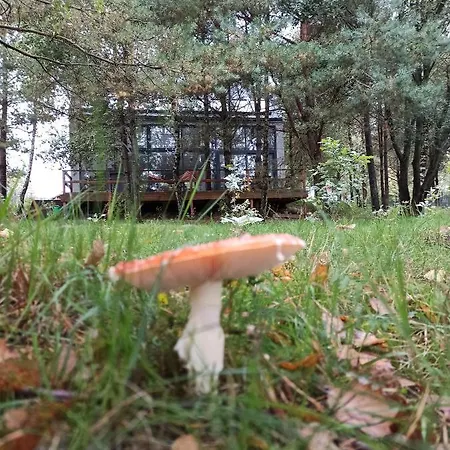 Luksusowy- Nowoczesny Dom W Lesie Prázdninový dům