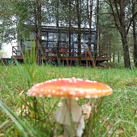 Prázdninový dům Luksusowy- Nowoczesny Dom W Lesie