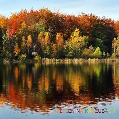 Prázdninový dům Luksusowy- Nowoczesny Dom W Lesie