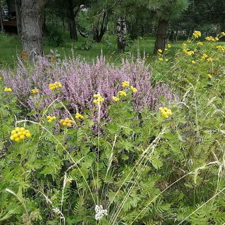 Luksusowy- Nowoczesny Dom W Lesie Kowalewo (Wejherowo)