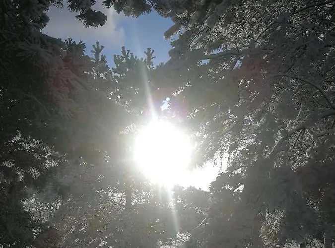 Сasa de vacaciones Luksusowy- Nowoczesny Dom W Lesie Kowalewo (Wejherowo)