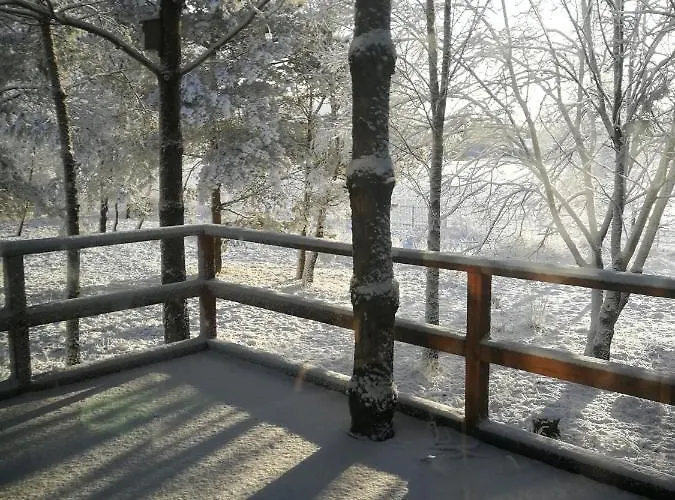 Luksusowy- Nowoczesny Dom W Lesie *