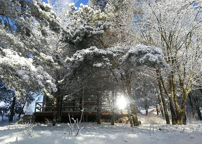 Luksusowy- Nowoczesny Dom W Lesie Kowalewo (Wejherowo)