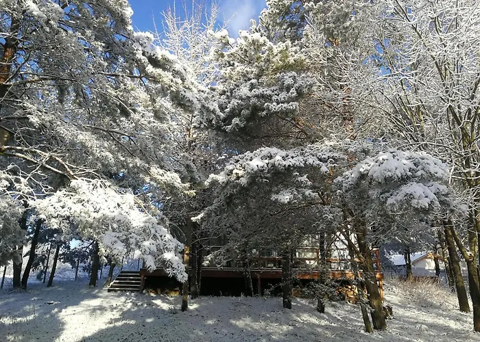 Luksusowy- Nowoczesny Dom W Lesie Kowalewo (Wejherowo)