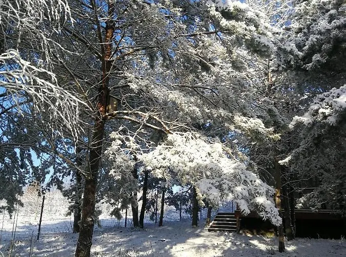 Luksusowy- Nowoczesny Dom W Lesie Kowalewo (Wejherowo)