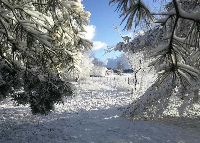 Luksusowy- Nowoczesny Dom W Lesie * Kowalewo (Wejherowo)