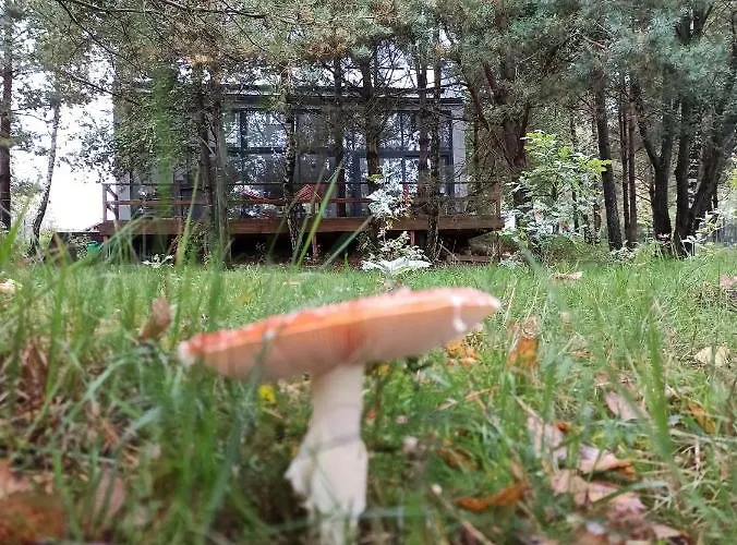 Luksusowy- Nowoczesny Dom W Lesie Сasa de vacaciones