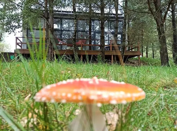 Сasa de vacaciones Luksusowy- Nowoczesny Dom W Lesie