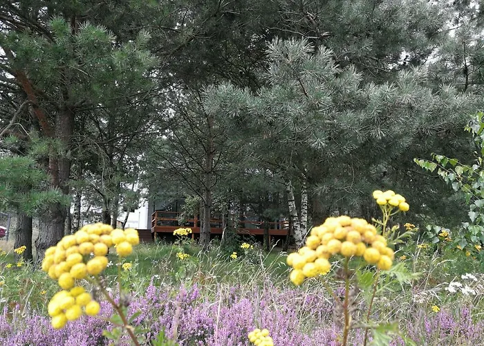 Luksusowy- Nowoczesny Dom W Lesie * Kowalewo (Wejherowo)