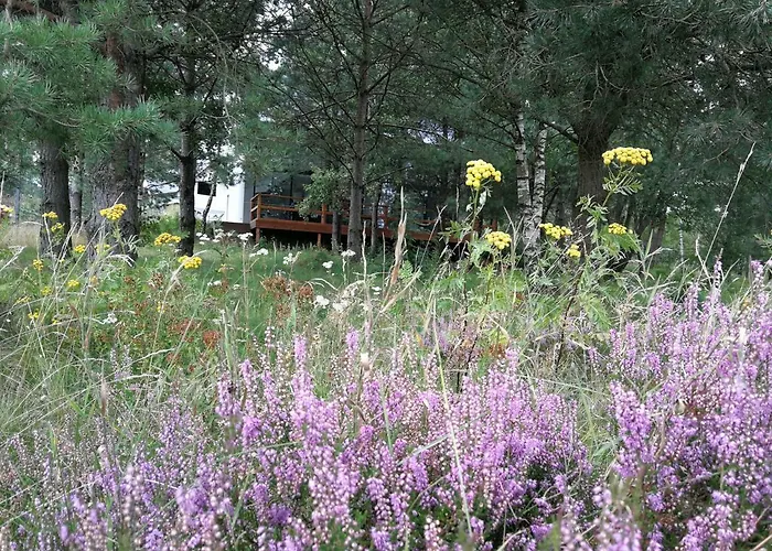 Luksusowy- Nowoczesny Dom W Lesie * Kowalewo (Wejherowo)