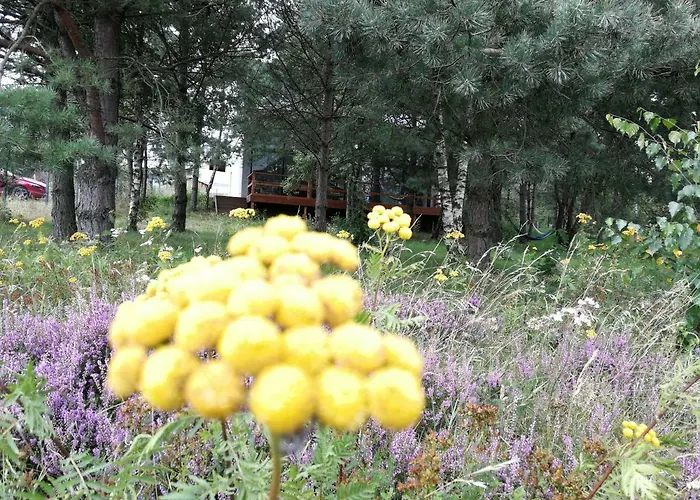 Сasa de vacaciones Luksusowy- Nowoczesny Dom W Lesie *